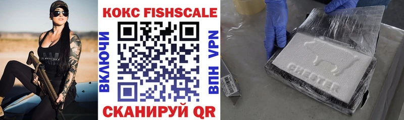 цена наркотик  даркнет Telegram  Кокаин FishScale  Новотроицк 