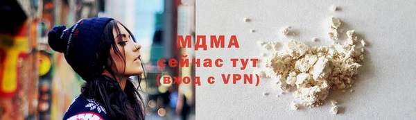 шишки Дубовка