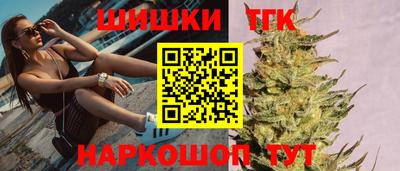 дурь Сланцы