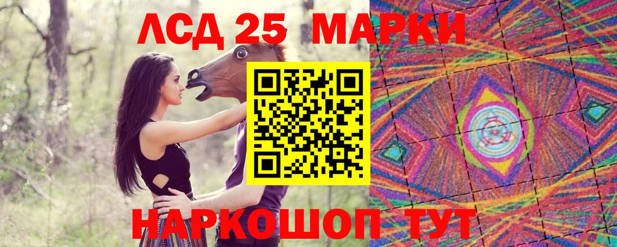 Новотроицк  где можно купить наркотик  Наркотические марки 1500мкг  Вход с VPN  Наркотические марки 1500мкг 