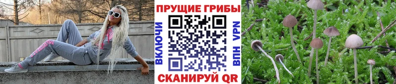 Галлюциногенные грибы ЛСД  omg вход  Новотроицк 