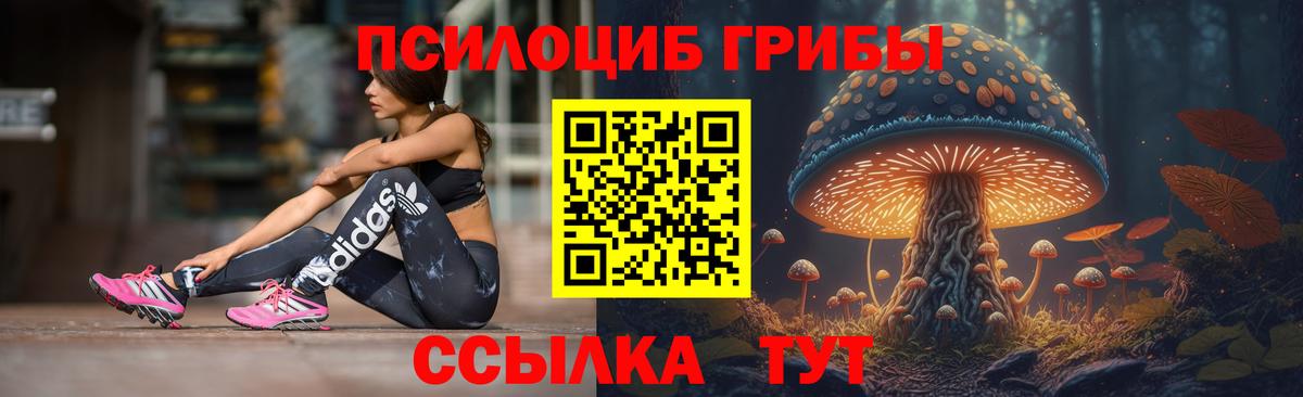 Галлюциногенные грибы MAGIC MUSHROOMS  Вход с VPN  Новотроицк 